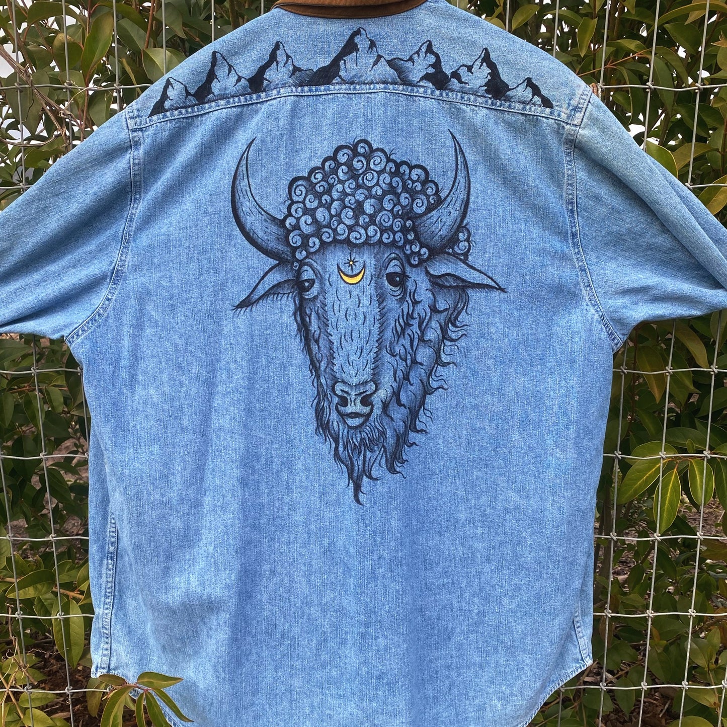 Moon Bison